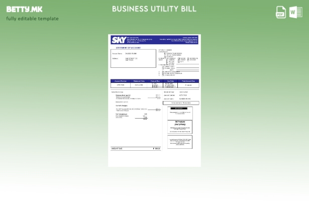 Модерен стил Шаблон () за деловни сметки за комунални услуги Philippines Sky Cab